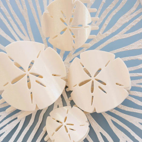 Sand Dollar Medium Flat Hair Clip