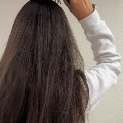 Detangler Hair Brush for Medium Hair – Tortoise